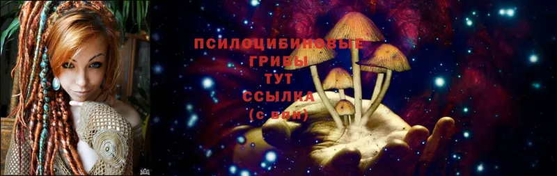 Псилоцибиновые грибы MAGIC MUSHROOMS  гидра как зайти  Горячий Ключ 